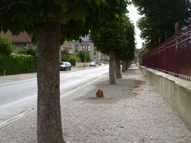 Rue des écoles - Avant travaux