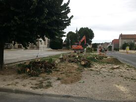 Abattage des arbres 