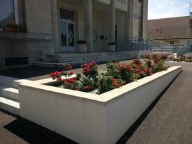 Parterre de rosiers 